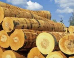 ��Ҫ����ľ�ĵ�ˮ������