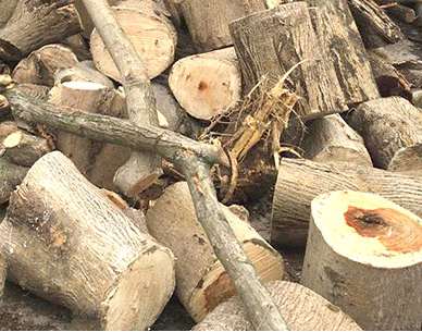 ����ľ�����l�Ԓ��ַ