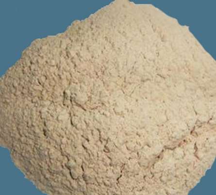 ľ�ۏS�Ҍ���ľ������M�к�ɹ���