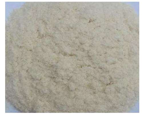 ʲô�ӵ�ľ���|��ֵ����ه��