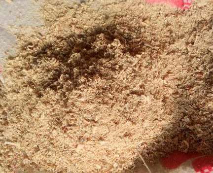 ��ΝM����ľ�۵ĺ��mʹ��