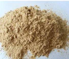 ��ľ�۵��x�ò��ܺ��Ե��c