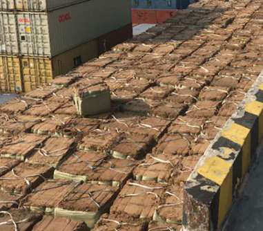 ľ�w�S�۷������^(gu��)�V�b�õ�����