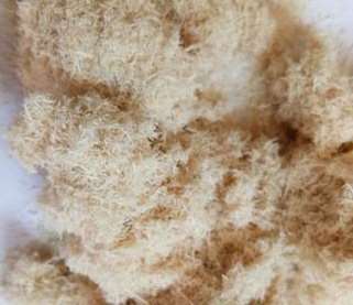 ľ�w�S�ۼӹ��úY�x�b�õ�ԭ��