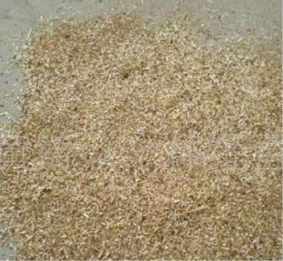 ��ľ�۵������f���v��