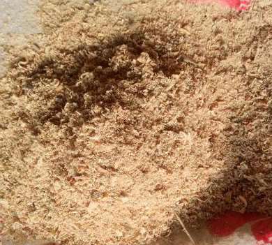 ��ľ�۵��Ƃ�Ҫ����Щ����ȥ�˽�