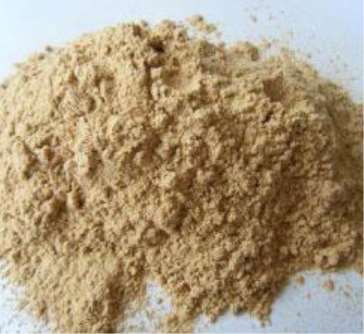 ��ľ��Ͷ��a(ch��n)�I(y��)���õ����(xi��ng)