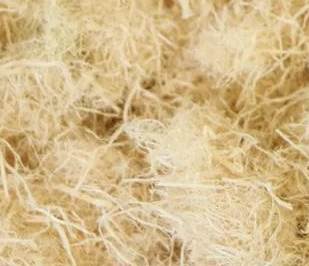 ľ�w�S����ô�M�Ѓ���