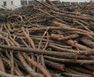 ľ�ĵđ�����r��ô��