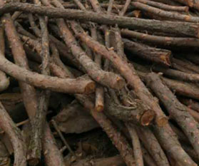 ľ������Щ��ȱ�c